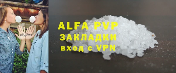 трава Карпинск