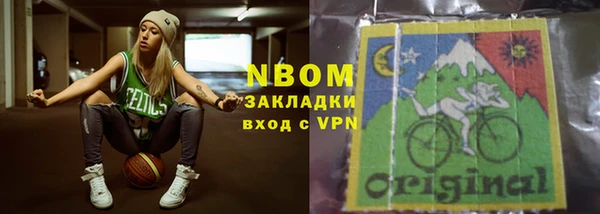 трава Карпинск