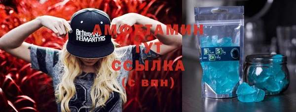 трава Карпинск