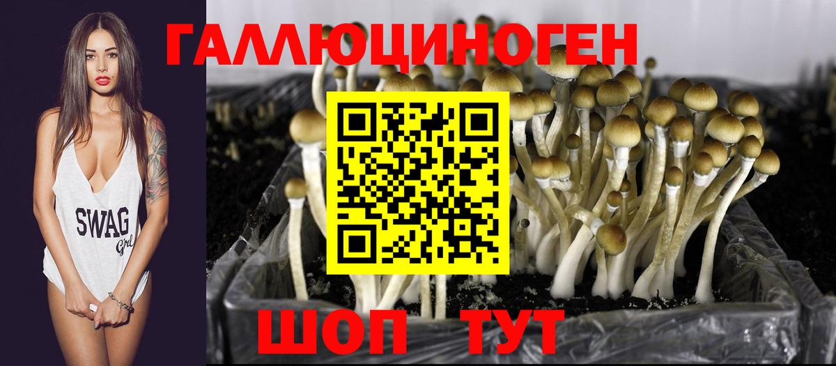 Шадринск  Псилоцибиновые грибы мухоморы  Вход с VPN 