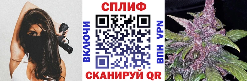 Бошки марихуана марихуана Шадринск