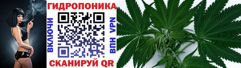 блэк спрут зеркало  Шадринск  Бошки марихуана Ganja 
